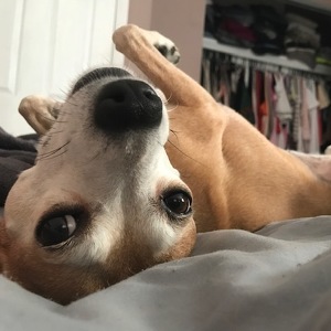 Joanna Boissonneault